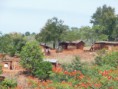 /album/afrika/a2-jpg/