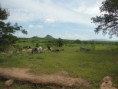 /album/afrika/dscn0260-jpg/