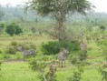 /album/afrika/dscn0386-jpg/